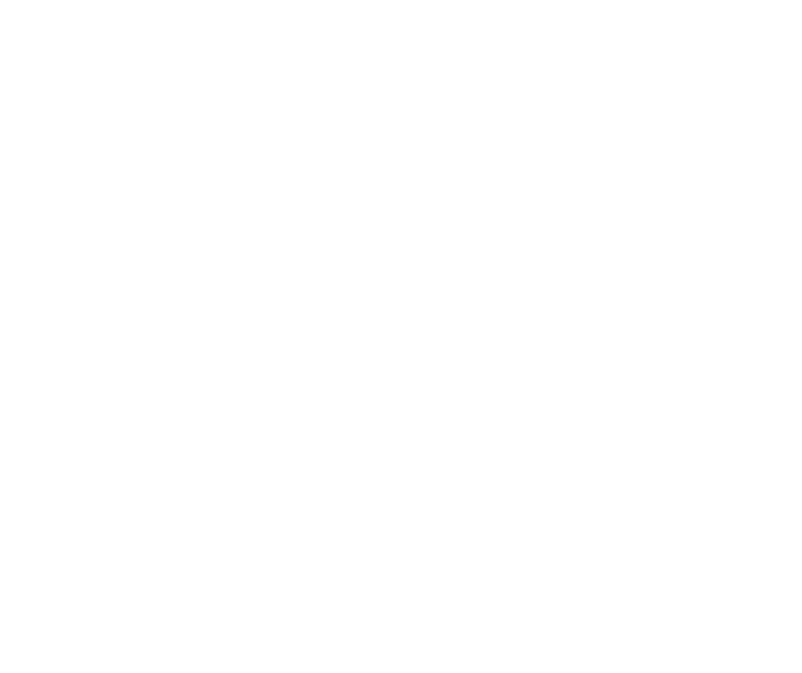 Associazione Sulpitia Cesis